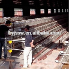 Cage de couche de batterie d&#39;Anping pour la ferme de volaille nigériane / africaine